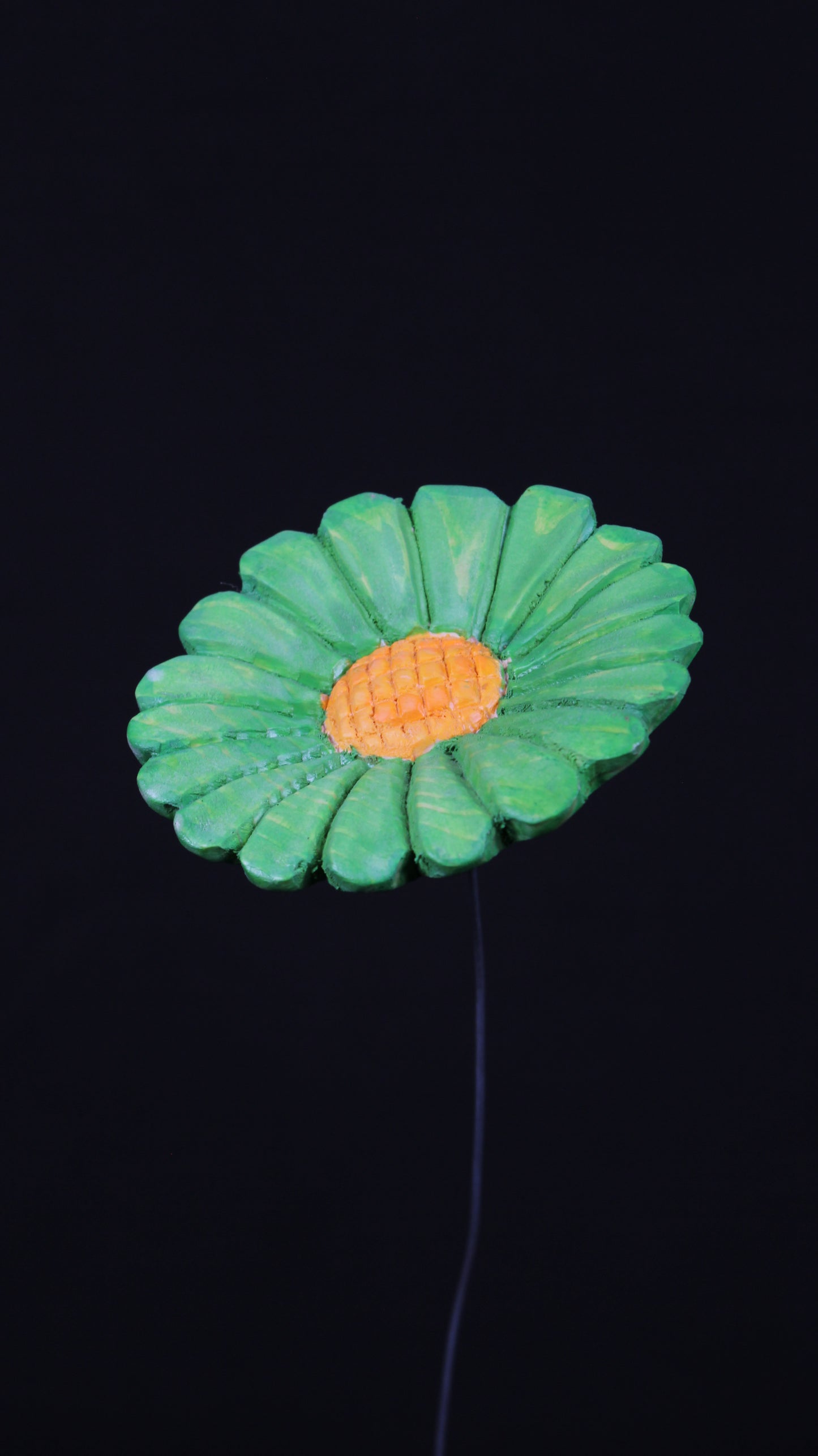 Fiore MARGHERITA