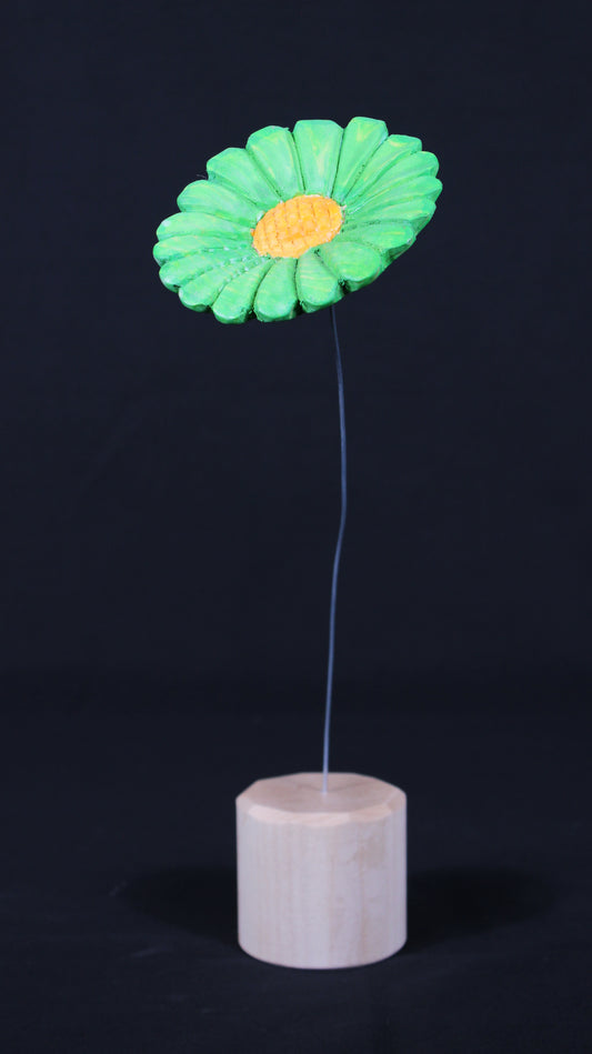 Fiore MARGHERITA