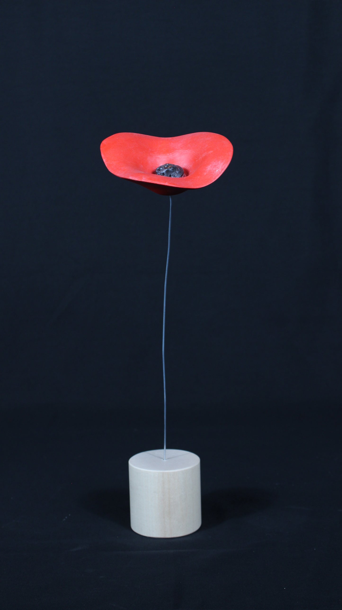 Fiore PAPAVERO