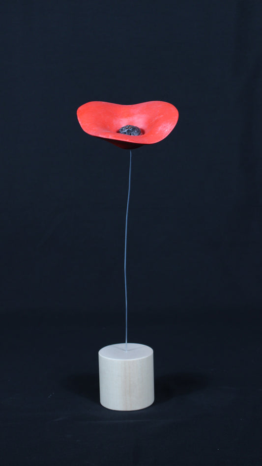 Fiore PAPAVERO