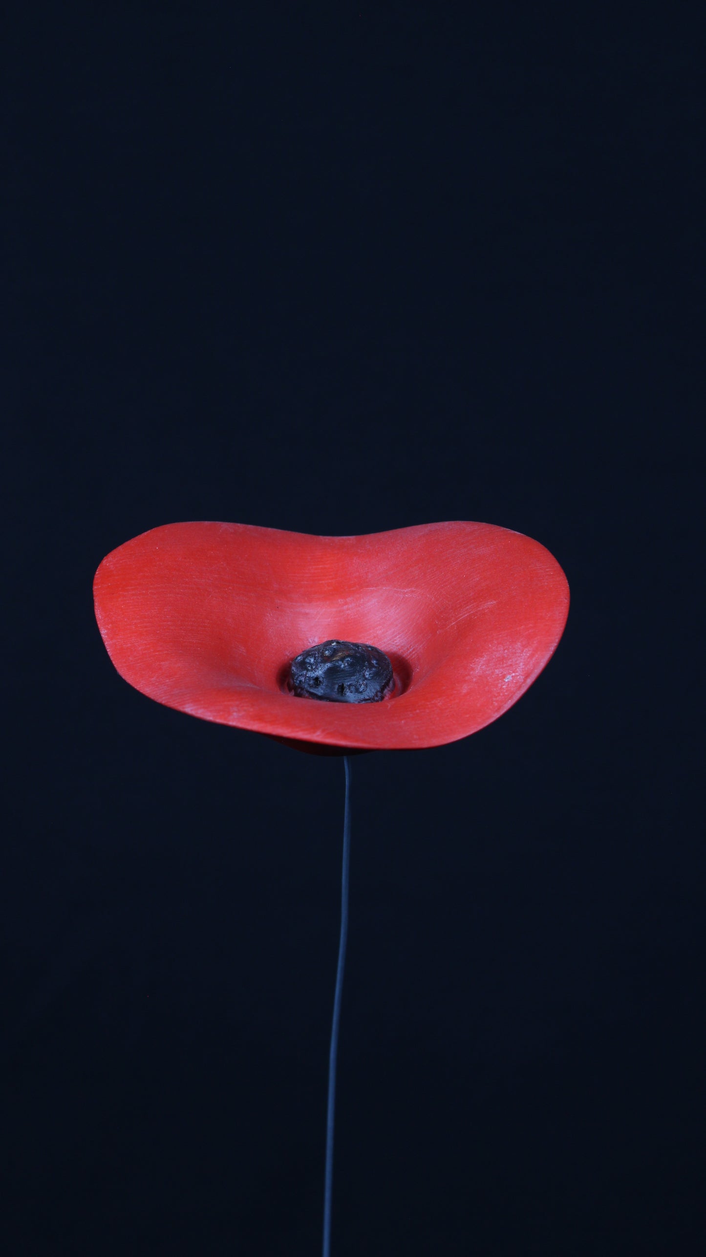 Fiore PAPAVERO